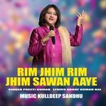 Rim Jhim Rim Jhim Sawan Aaye