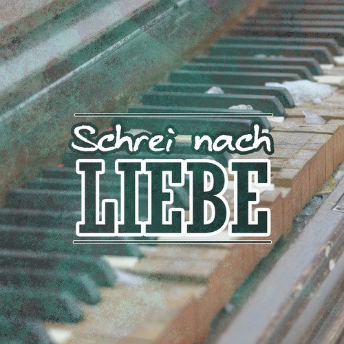 Schrei nach Liebe (Die Ärzte Coverversion) (Piano Version)_poster_image