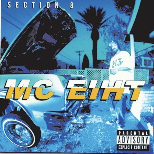 Section 8 (Explicit)