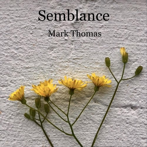 Semblance