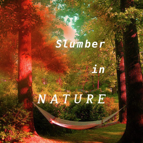 Slumber in Nature_poster_image