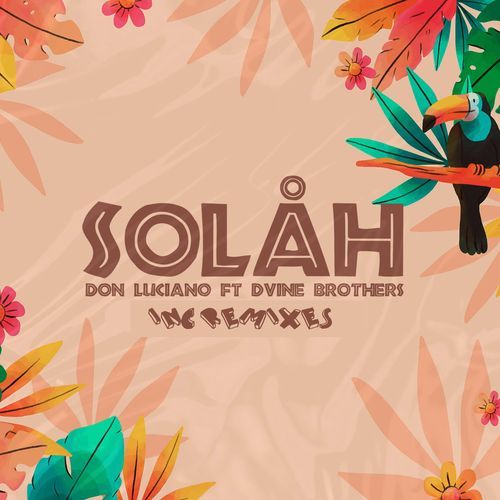 Solah (DJ Bullet & DJ Patlamas Remix) cover art