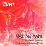 Take Me Home (Tungevaag & Raaban Remix) [feat. Alexander Tidebrink]