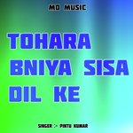Tohara Bniya Sisa Dil Ke