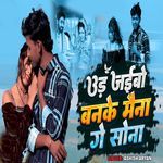Udd Jaibo Banke Maina Ge Sona
