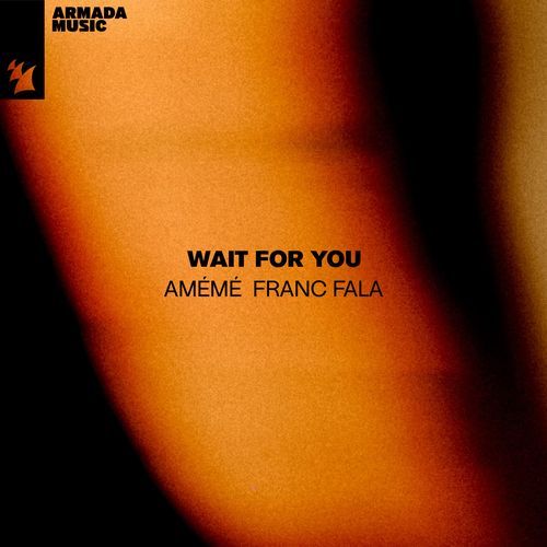 Wait For You_poster_image