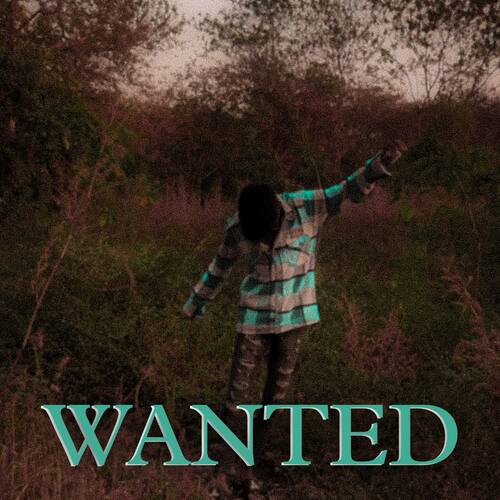 Wanted