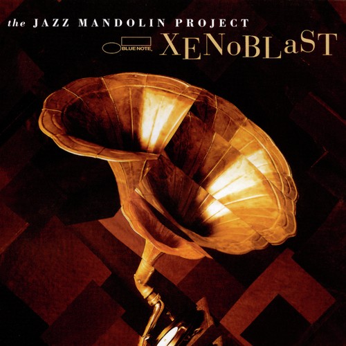 The Jazz Mandolin Project