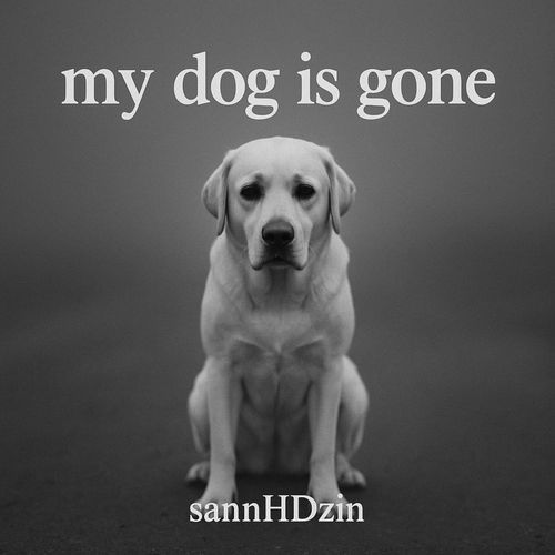 my dog is gone