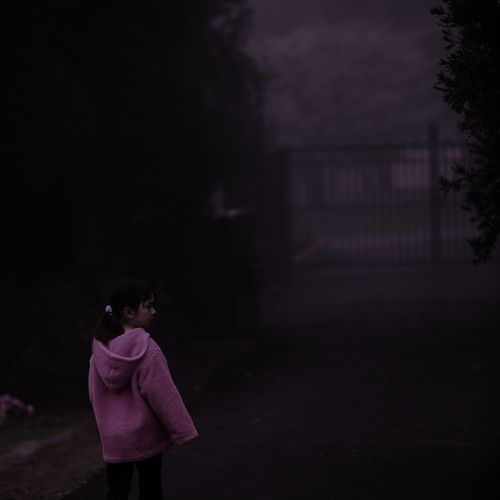 The Distant Cries of Seagulls cover art