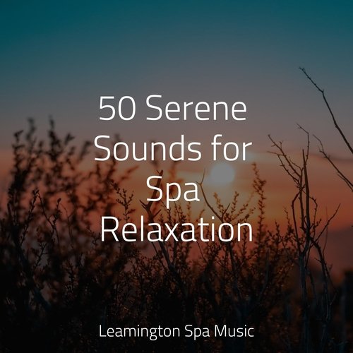 50 Serene Sounds for Spa Relaxation