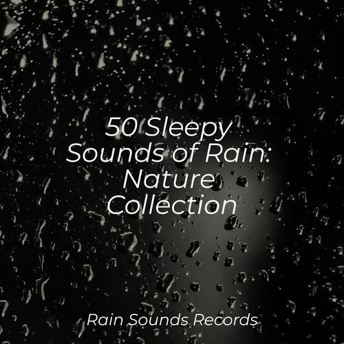 50 Sleepy Sounds of Rain: Nature Collection_poster_image