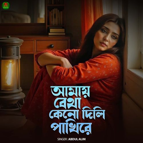AMAI BETHA KENO DILI PAKHI RE