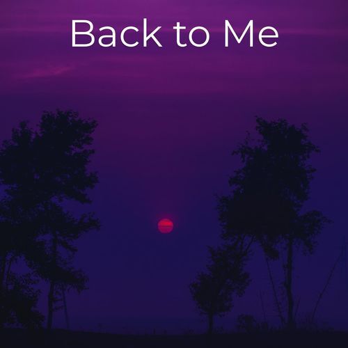 Back to Me_poster_image