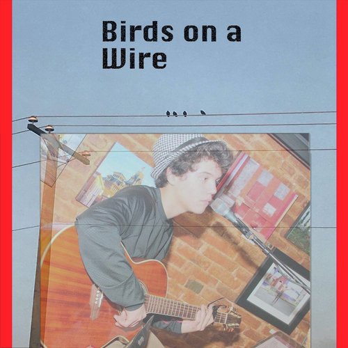 Birds on a Wire cover art