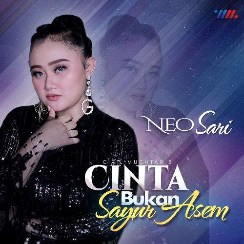 Cinta Bukan Sayur Asem_poster_image