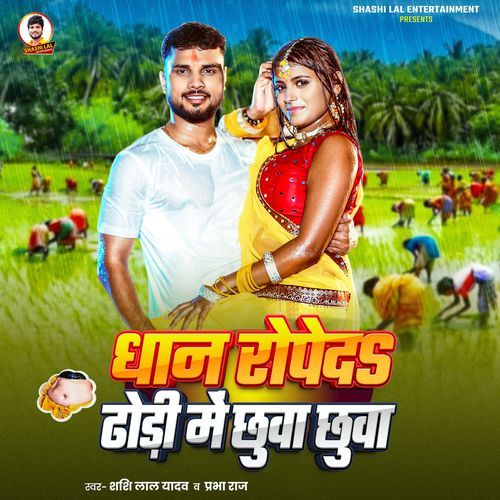 Dhan Ropeda Dhodi Me Chhuwa Chhuwa