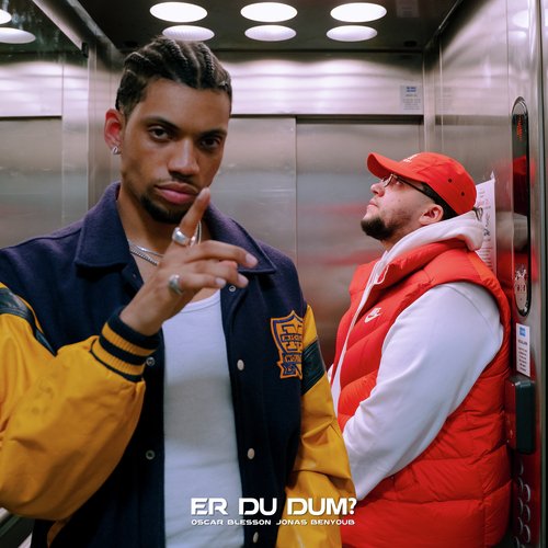 Er Du Dum? (feat. Jonas Benyoub)