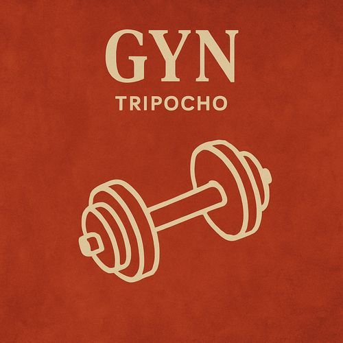 Gyn cover art