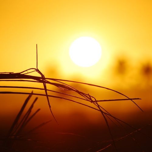 Mausam Gram Ho Gaya
