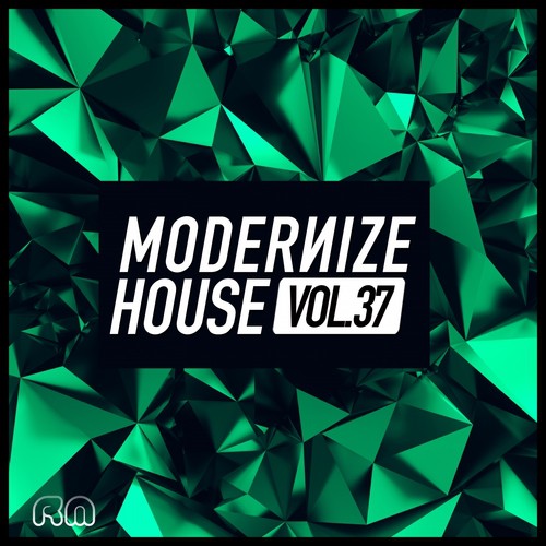 Modernize House, Vol. 37