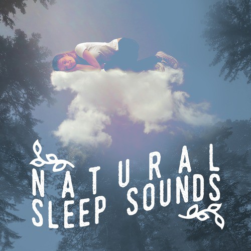 Natural Sleep Sounds