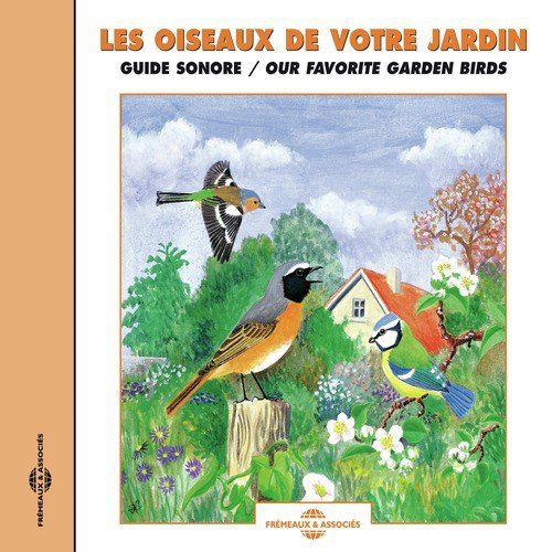 Grimpereau Des Jardins