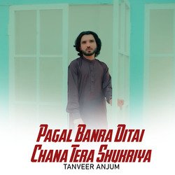 Pagal Banra Ditai Chana Tera Shukriya-BVslBVkGA2Q