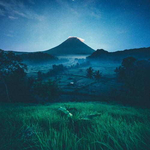Focused, Relaxed cover art