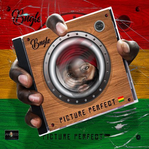 Picture Perfect (feat. Jada Kingdom) cover art