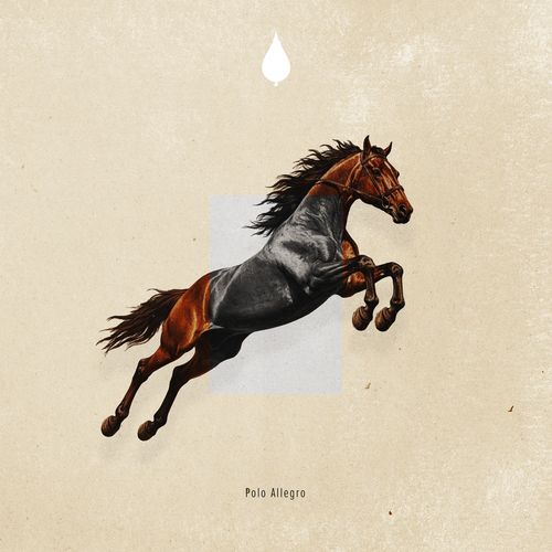 Polo Allegro cover art