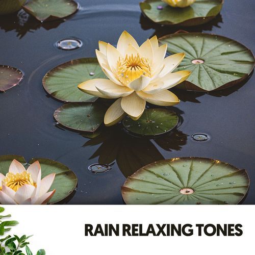 Rain Spa Sounds: Zen Shower Symphony_poster_image