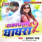 Rajasthani Ghaghra 2