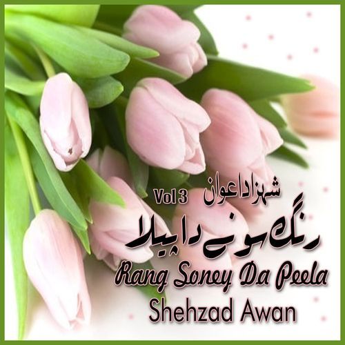 Cheetey Chaney Di Chandri