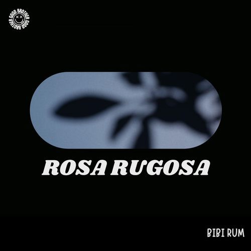 Rosa Rugosa (House)