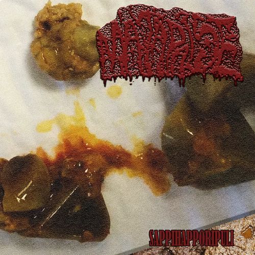 MÄTÄPAISE cover art