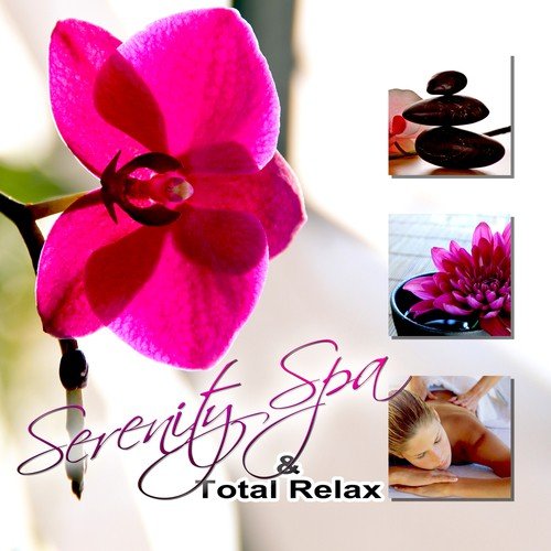 Serenity Spa & Total Relax - Natural Spa Music and Tranquility Spa, Sounds of Nature, New Age, Mindfulness Meditation, Sleep Music and Spa Dreams, Reiki, Healing Massage
