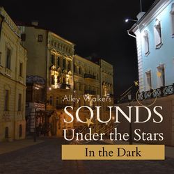 Sounds Under the Stars - In the Dark