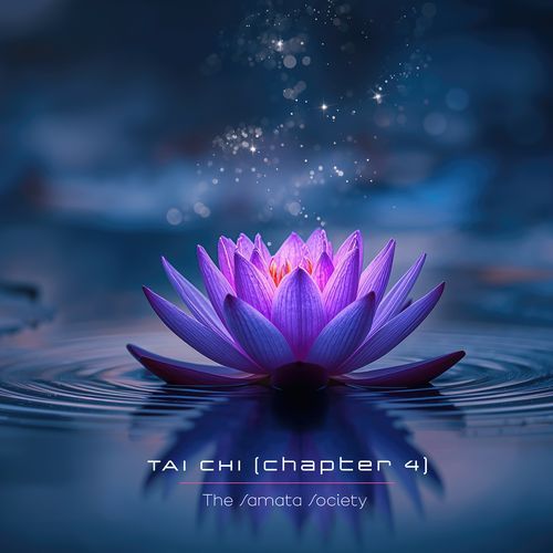 The Friendly Monk cover art