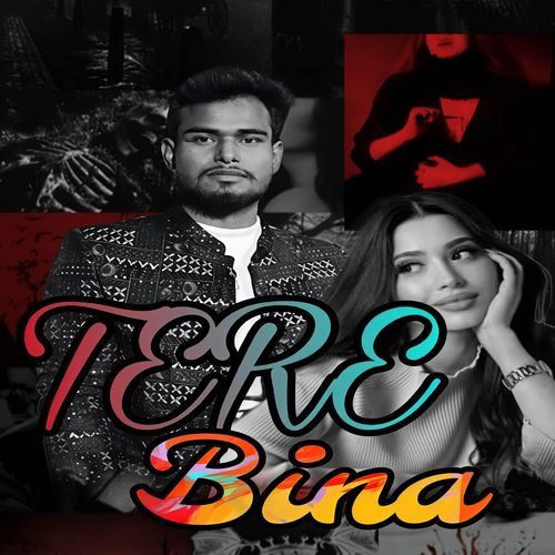 Tere Bina