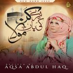 Tere Kun Ki Bat Mola artwork