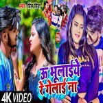 U Bhulaere Re Gelae Na