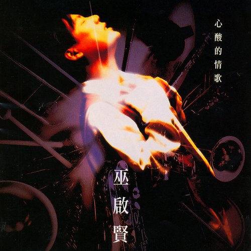 心酸的情歌(廣東大碟) ((廣東大碟))