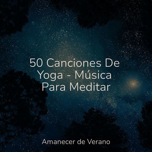 50 Canciones De Yoga - Música Para Meditar