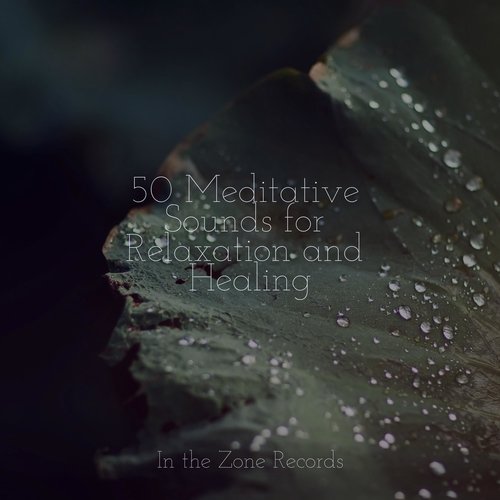 50 Meditative Sounds for Relaxation and Healing