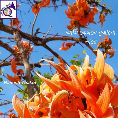 আমি কেমনে বুঝাবো তারে