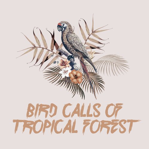 Singing Birds cover art