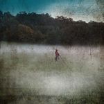 Brouillard