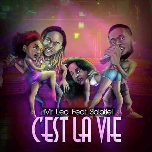 C&#039;est la vie_poster_image