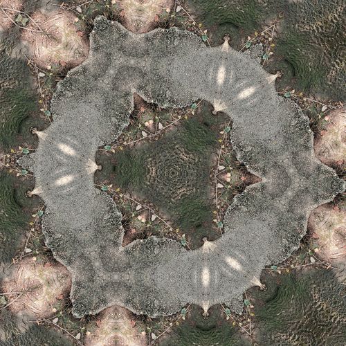 Devitalize Pathogens cover art